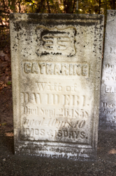 SHELHAMMER, Catherine